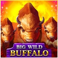 Logo of Big Wild Buffalo from Belatra Games at Captain Jack Casino